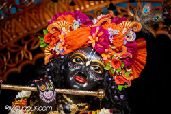 Daily Darshan