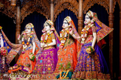 Daily Darshan