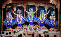 Daily Darshan