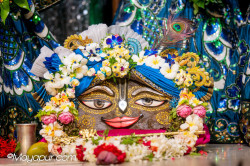 Daily Darshan