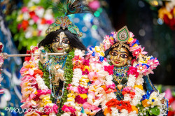 Daily Darshan