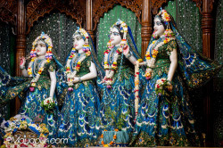 Daily Darshan