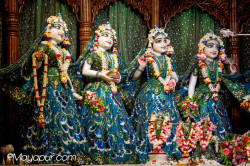 Daily Darshan