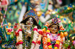 Daily Darshan