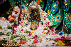 Daily Darshan