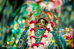 Daily Darshan