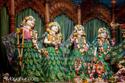 Daily Darshan