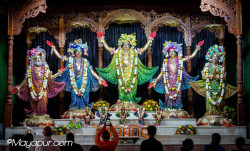 Daily Darshan