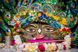 Daily Darshan