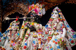 Daily Darshan