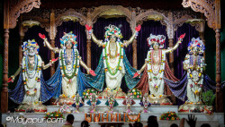 Daily Darshan
