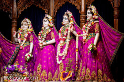 Daily Darshan