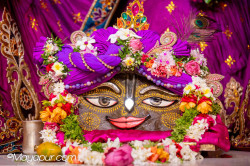 Daily Darshan
