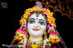 Daily Darshan