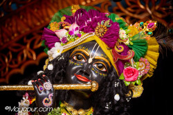 Daily Darshan