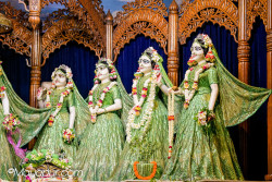 Daily Darshan
