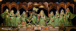 Daily Darshan
