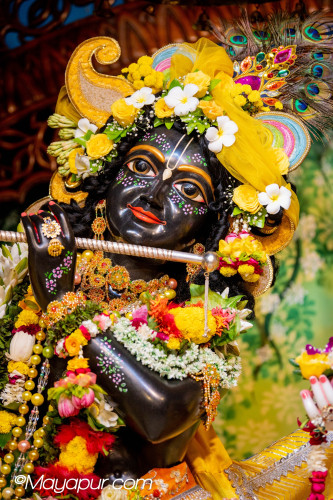 Daily Darshan