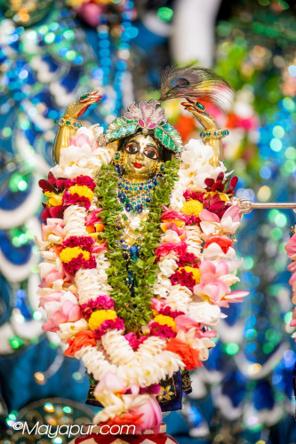 Daily Darshan