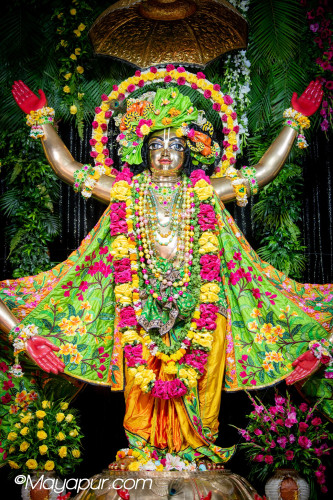 Daily Darshan