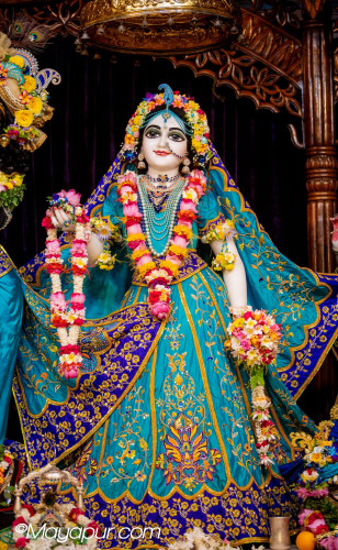 Daily Darshan