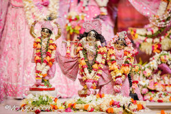 Daily Darshan