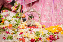 Daily Darshan