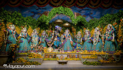 Daily Darshan