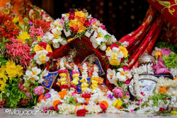 Daily Darshan