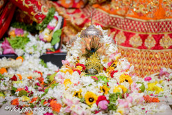 Daily Darshan