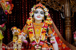 Daily Darshan