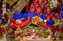 Daily Darshan