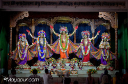 Daily Darshan