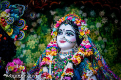 Daily Darshan