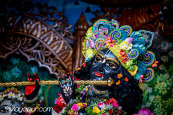 Daily Darshan