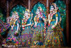 Daily Darshan