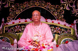 Daily Darshan