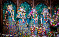 Daily Darshan