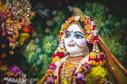 Daily Darshan