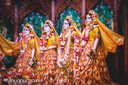 Daily Darshan