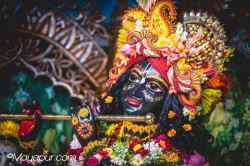 Daily Darshan