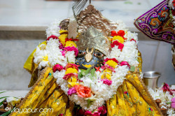 Daily Darshan