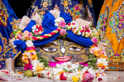 Daily Darshan