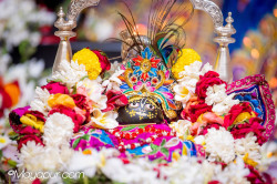 Daily Darshan