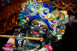 Daily Darshan