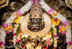Daily Darshan