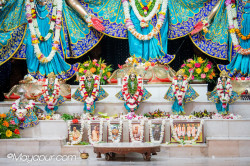 Daily Darshan