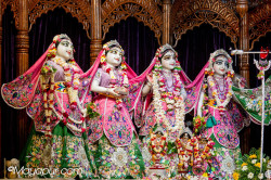 Daily Darshan