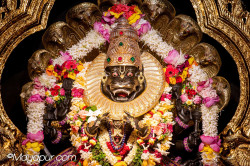 Daily Darshan