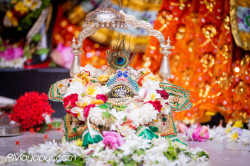 Daily Darshan